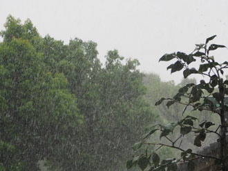 台風16号が通過後、雨漏りのご相談を多くいただきました